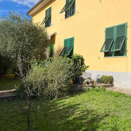 Le Siepi Apartment Reggello Exterior photo